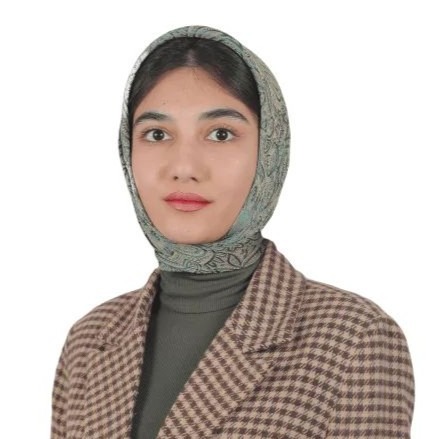 dinora image
